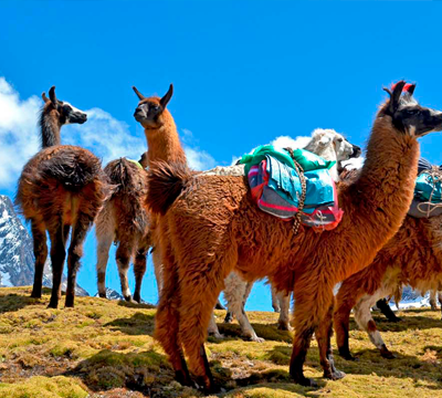 Peru Andes Holidays