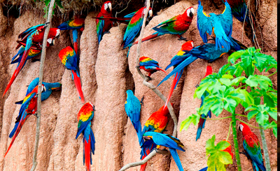 Peru